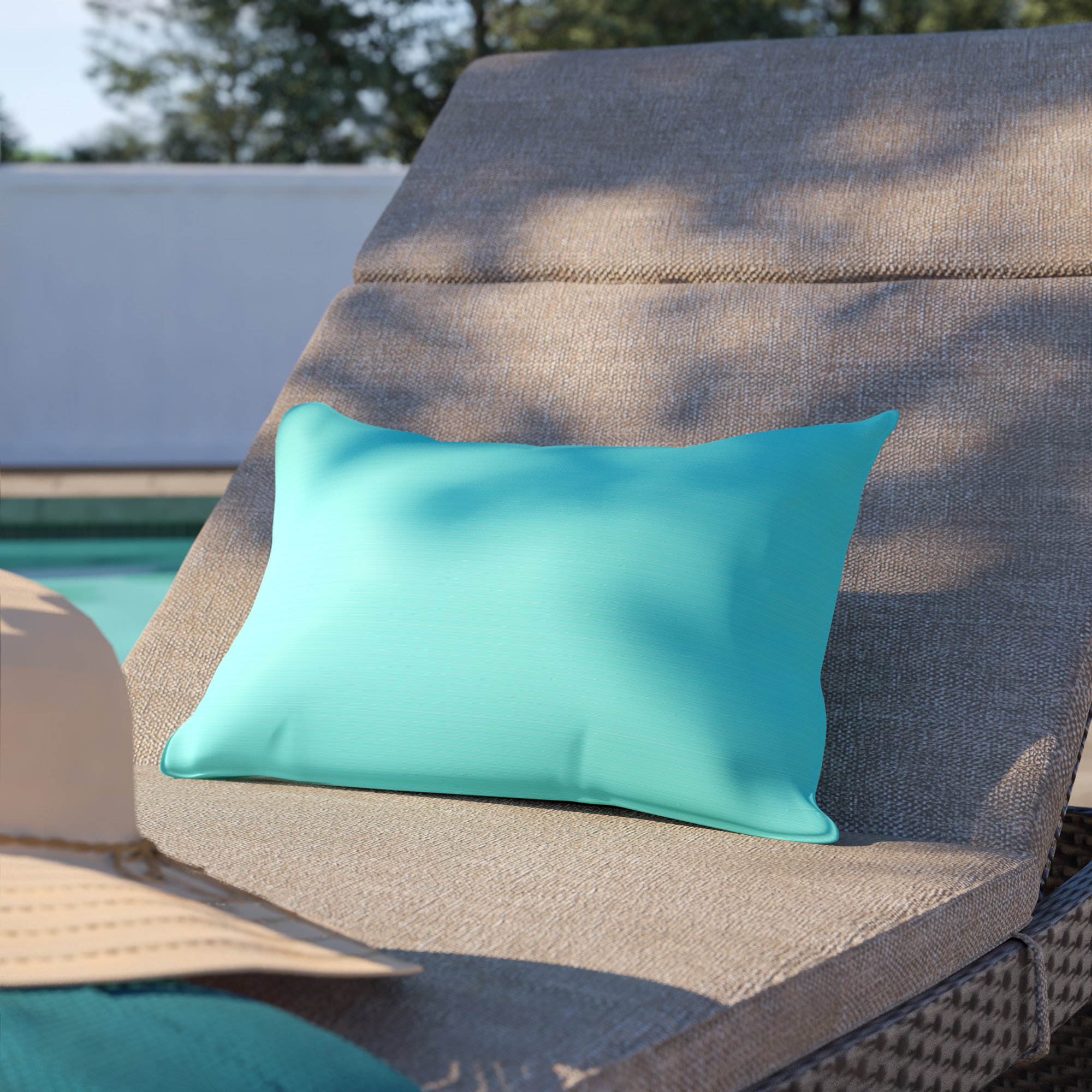 Sol 72 Outdoor Crawley Sunbrella Indoor Outdoor Pillow Reviews