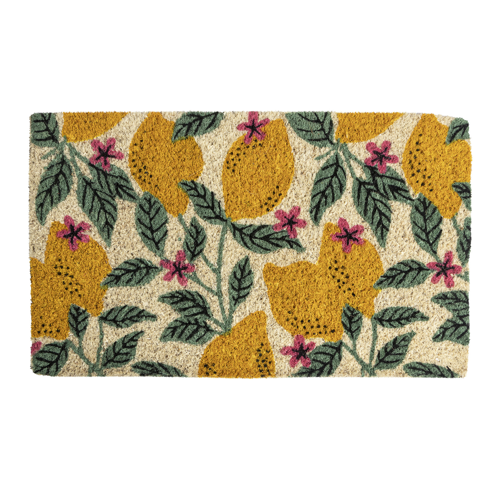 Entryways Lemons 30" x 18" Outdoor Door Mat Wayfair