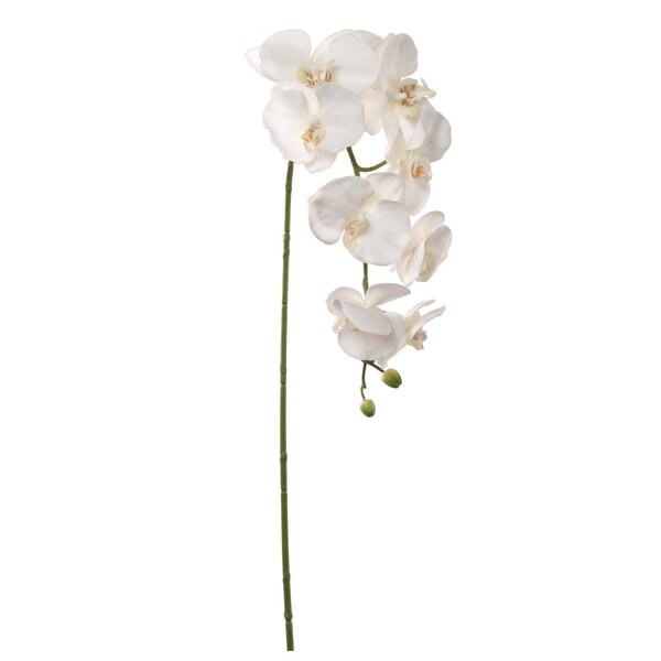 3 New Stems Deluxe Cream Phalaenopsis Orchids Artificial Silk Flowers 48in Tall 
