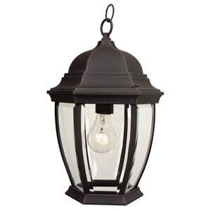 Oakhill 1-Light Traditional Outdoor Hanging Lantern