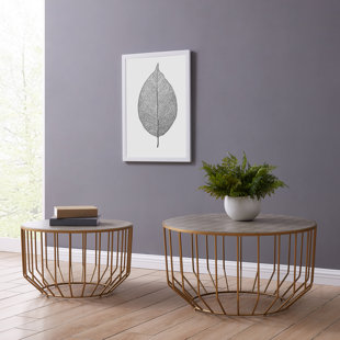 Beyonce 2 Piece Coffee Table Set by Mercer41 Best