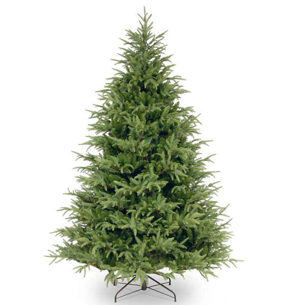 7 1 2 Ft Christmas Tree Wayfair