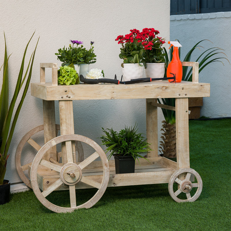 Rosalind Wheeler Wooden Flower/Plant/Cart/Display With Wheels | Wayfair.ca