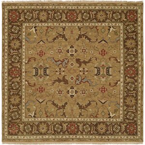 Antofagasta Hand-Woven Gold/Brown Area Rug