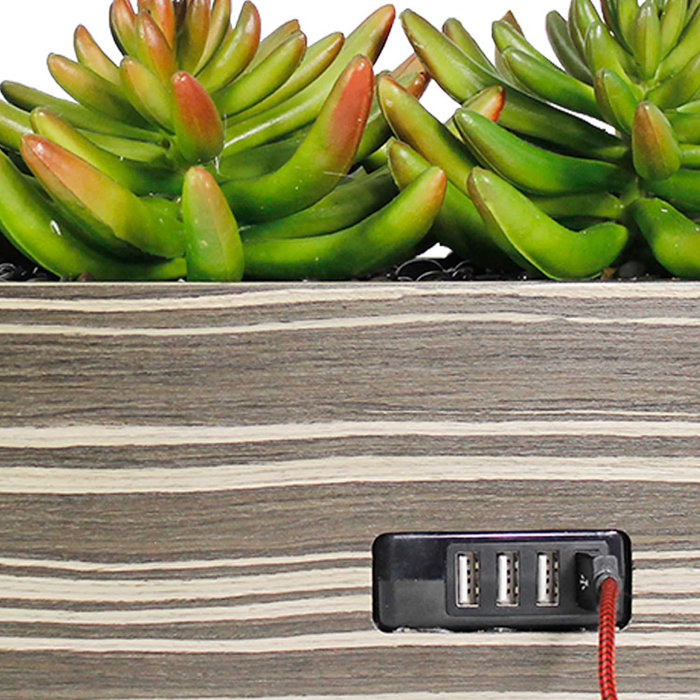 Brayden Studio Decorative Usb Charging Station Artificial Lifelike