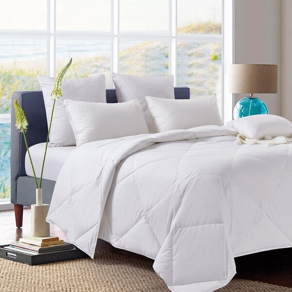 Alwyn Home Lightweight Summer Down Comforter Reviews Wayfair