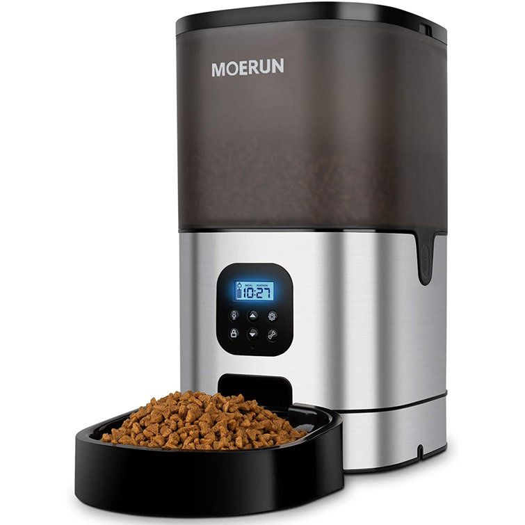 dual automatic cat feeder