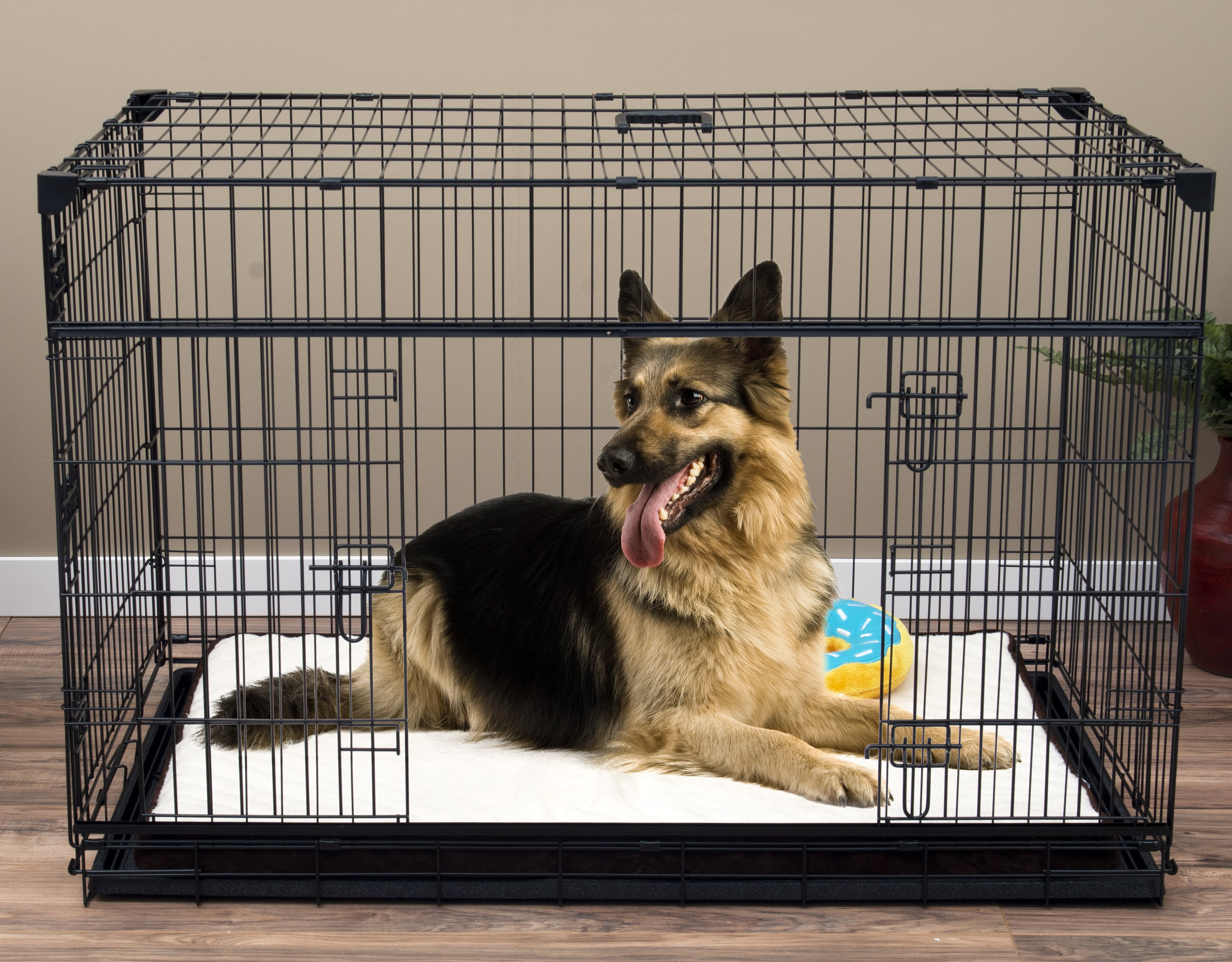vibrant life folding dog crate 42 inch double door training kennel with divider