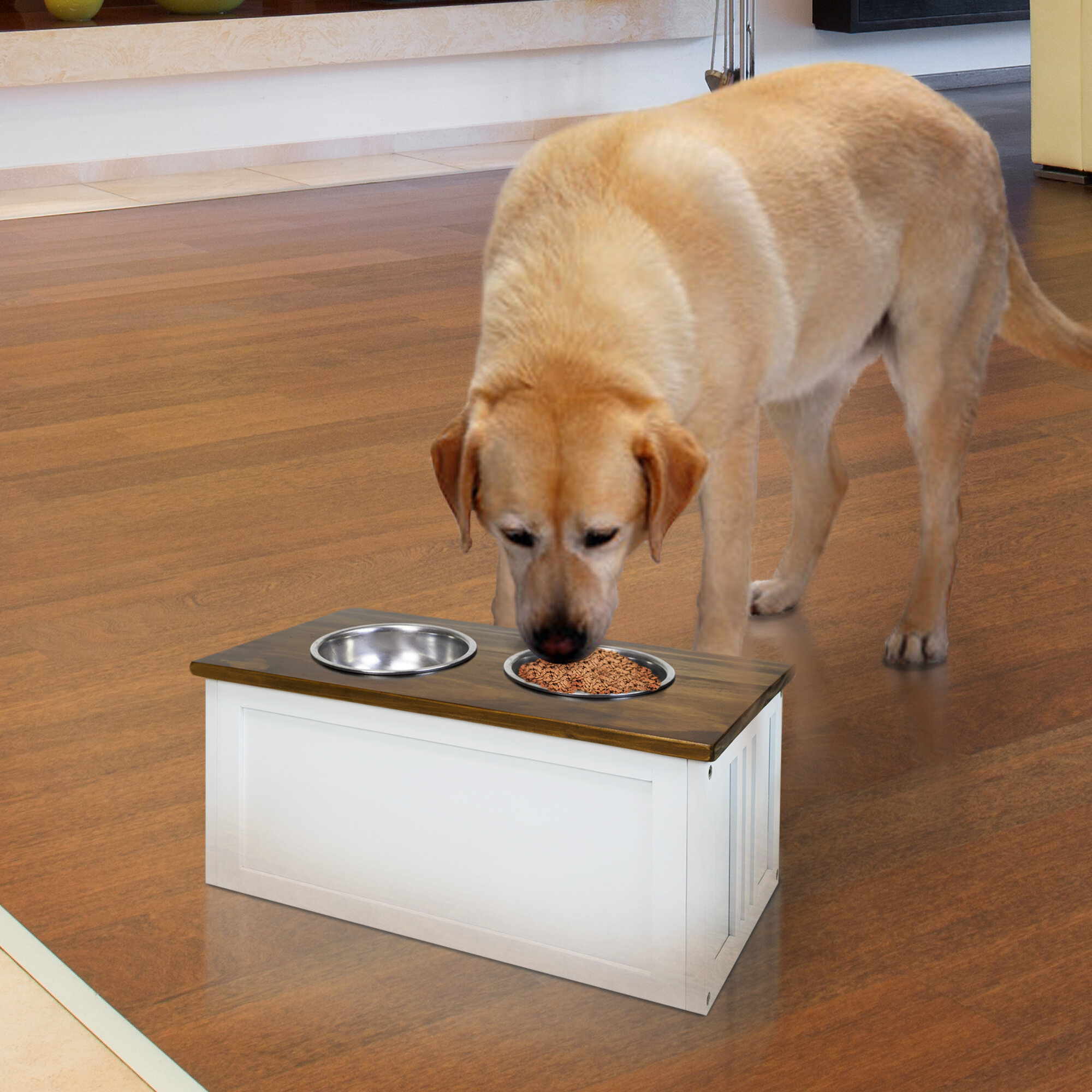 Yu Shan Pet Feeder Storage Stand & Reviews Wayfair