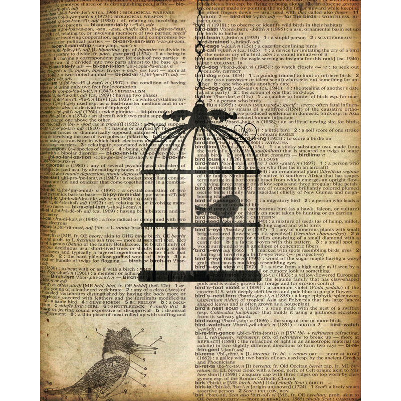 PTM Images Bird Cage Graphic Art Wayfair
