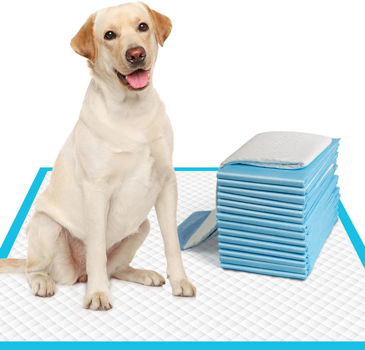 large potty pads