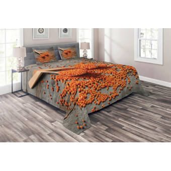 East Urban Home City Vi El Paso Texas Duvet Cover Set Wayfair