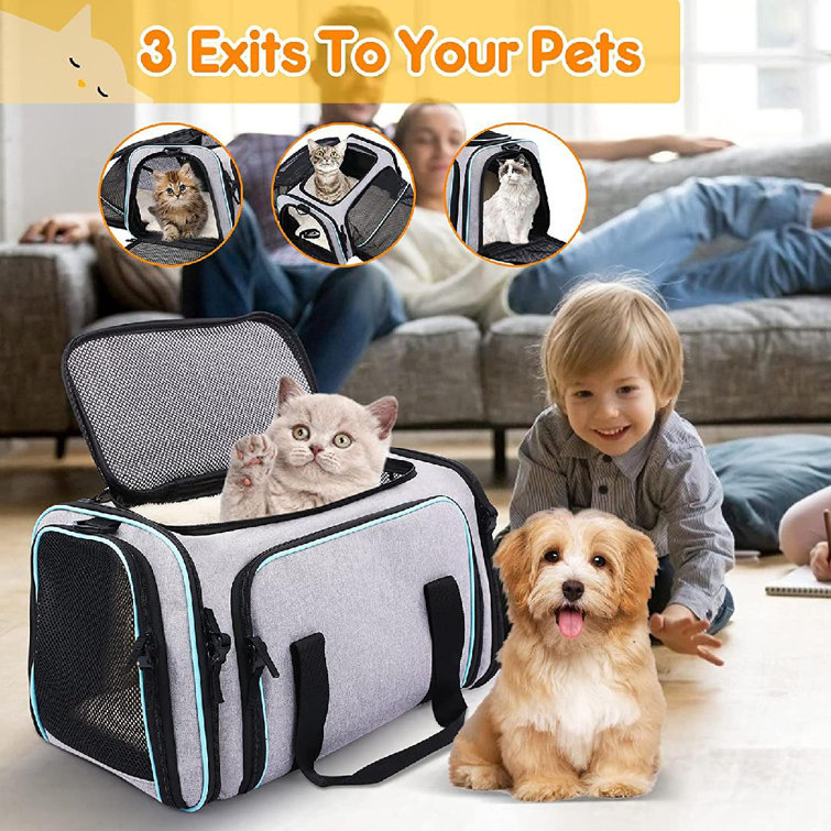 expandable dog carrier