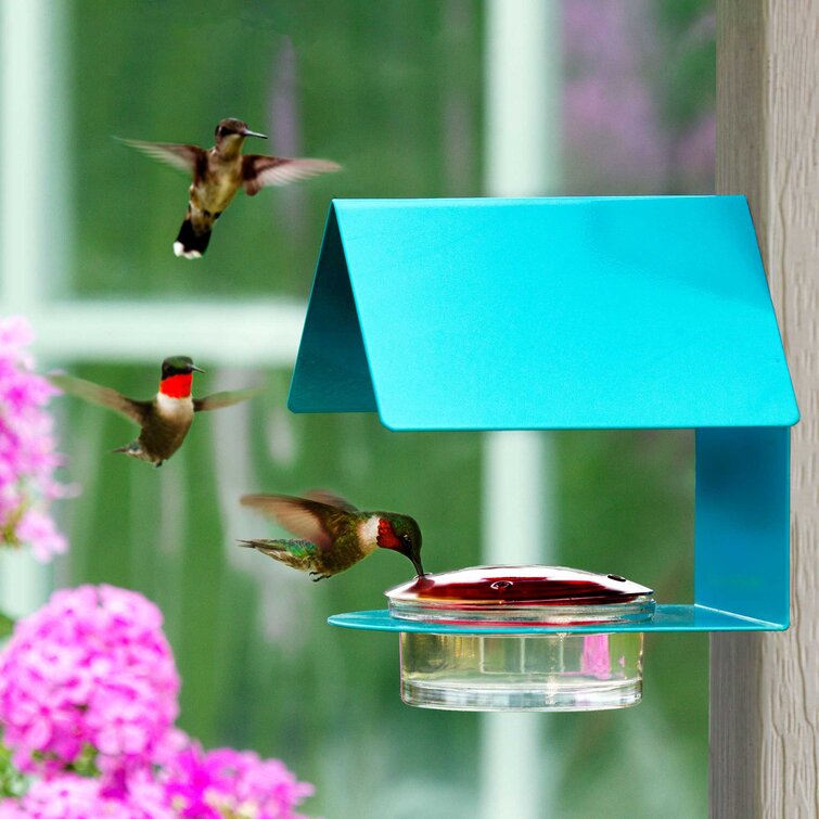 Powder Coated Steel Post or Wall Mount Hummingbird Feeder Color Choices