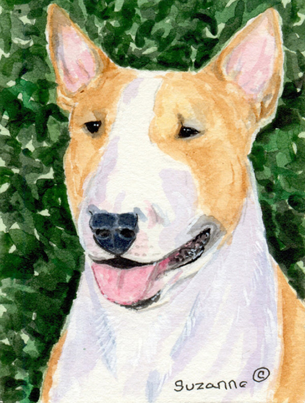 bull terrier beige
