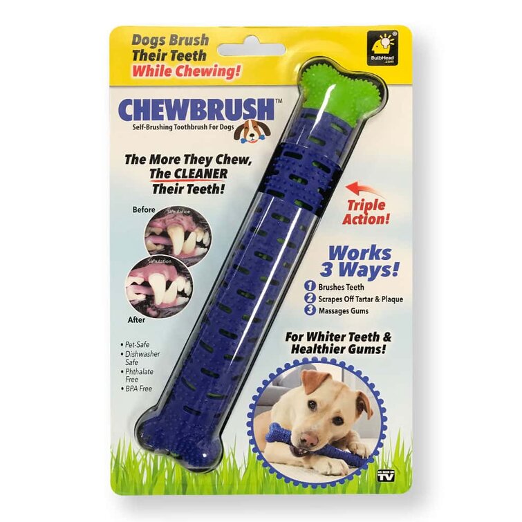 Bulbhead Chewbrush Toothbrush Dog Reviews Wayfair