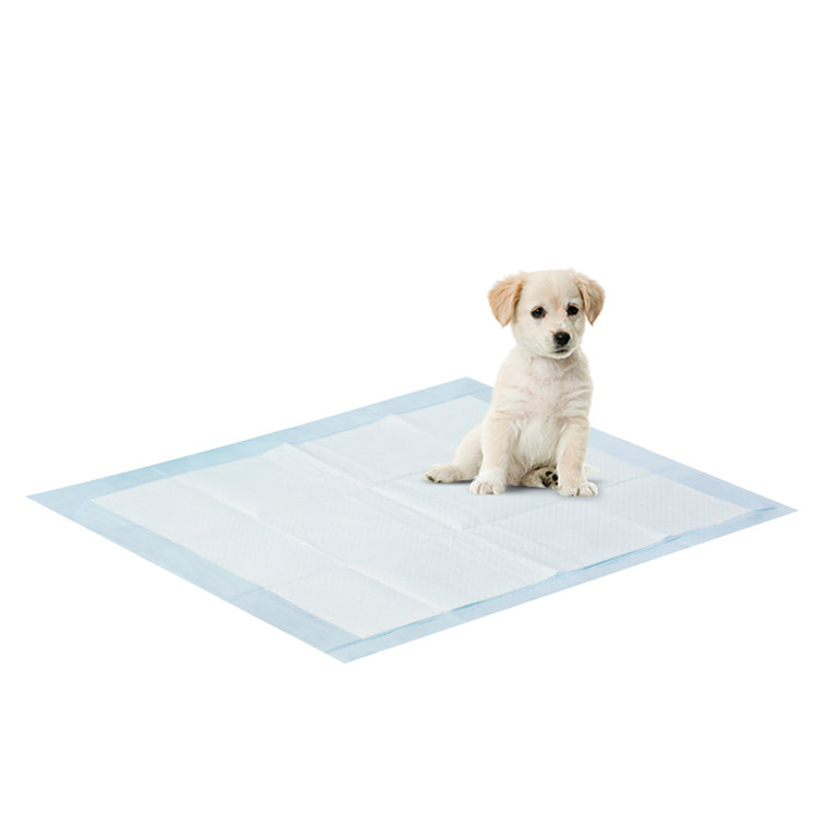 pet training mat