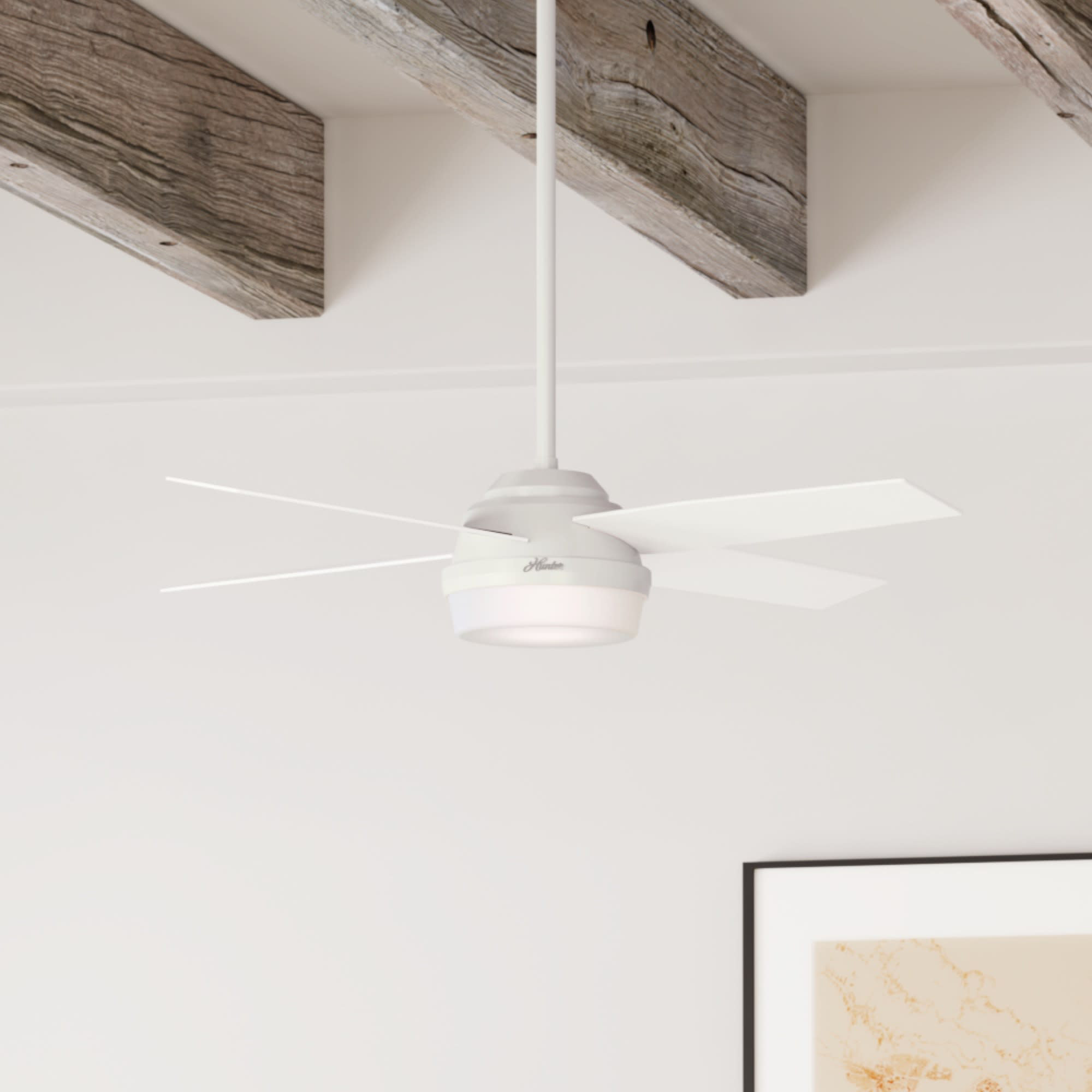 Hunter Fan 52'' Dempsey 4 - Blade LED 