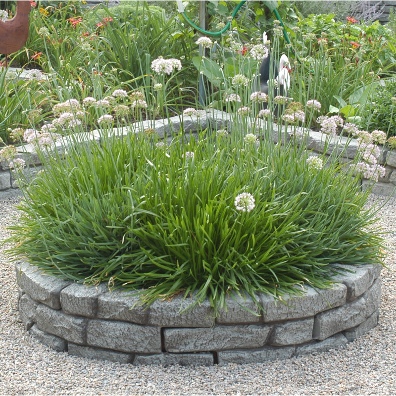Rts Companies 10 In H X 4ft W Rocklock Edging Reviews Wayfair Foliage and flowers to soften a wall, accent a lawn, or fringe a path. wayfair