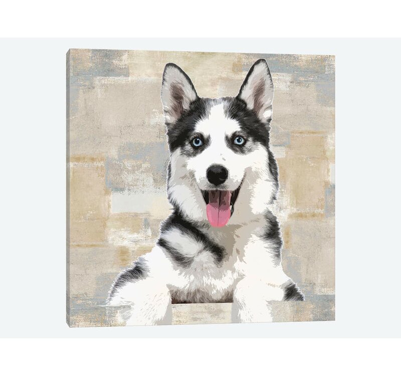 49++ Anjing husky imut new