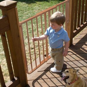 Wall Mounted Pet Gate