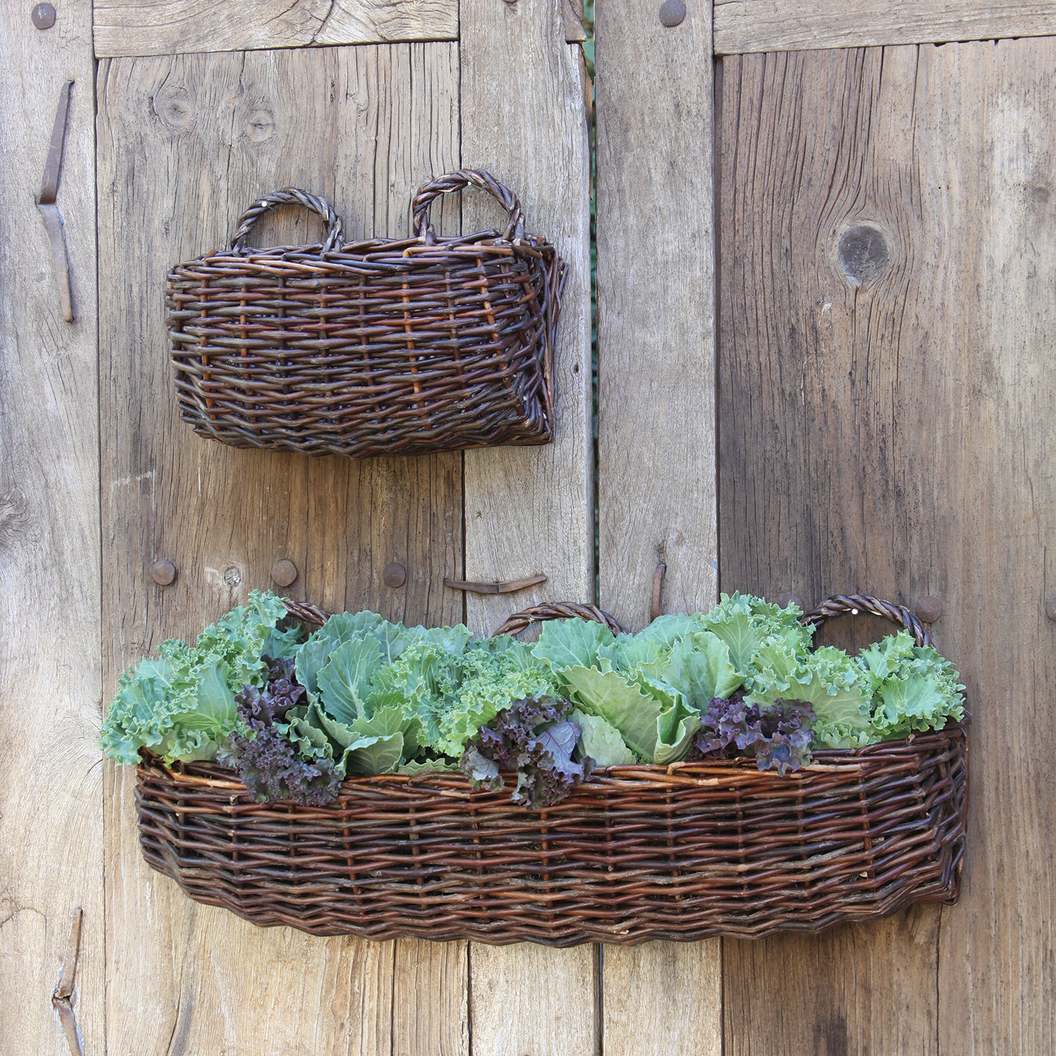 August Grove Karley Willow Rectangle Wall Basket Wayfair