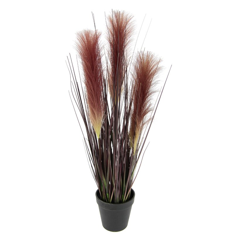 The Seasonal Aisle Artificial Pampas Grass Plant in Planter | Wayfair.co.uk