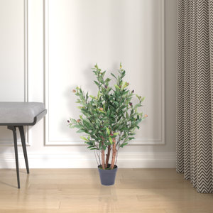Best Faux Olive Tree