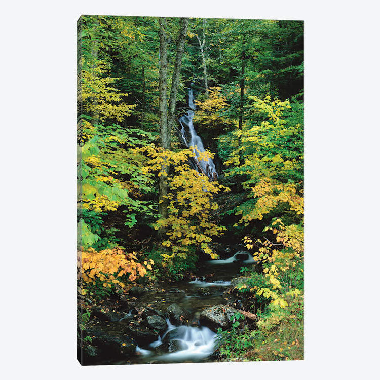 East Urban Home Moss Glen Falls Vermont Route 100 Granville Reservation State Park Vermont Usa Ii Photographic Print On Canvas Wayfair