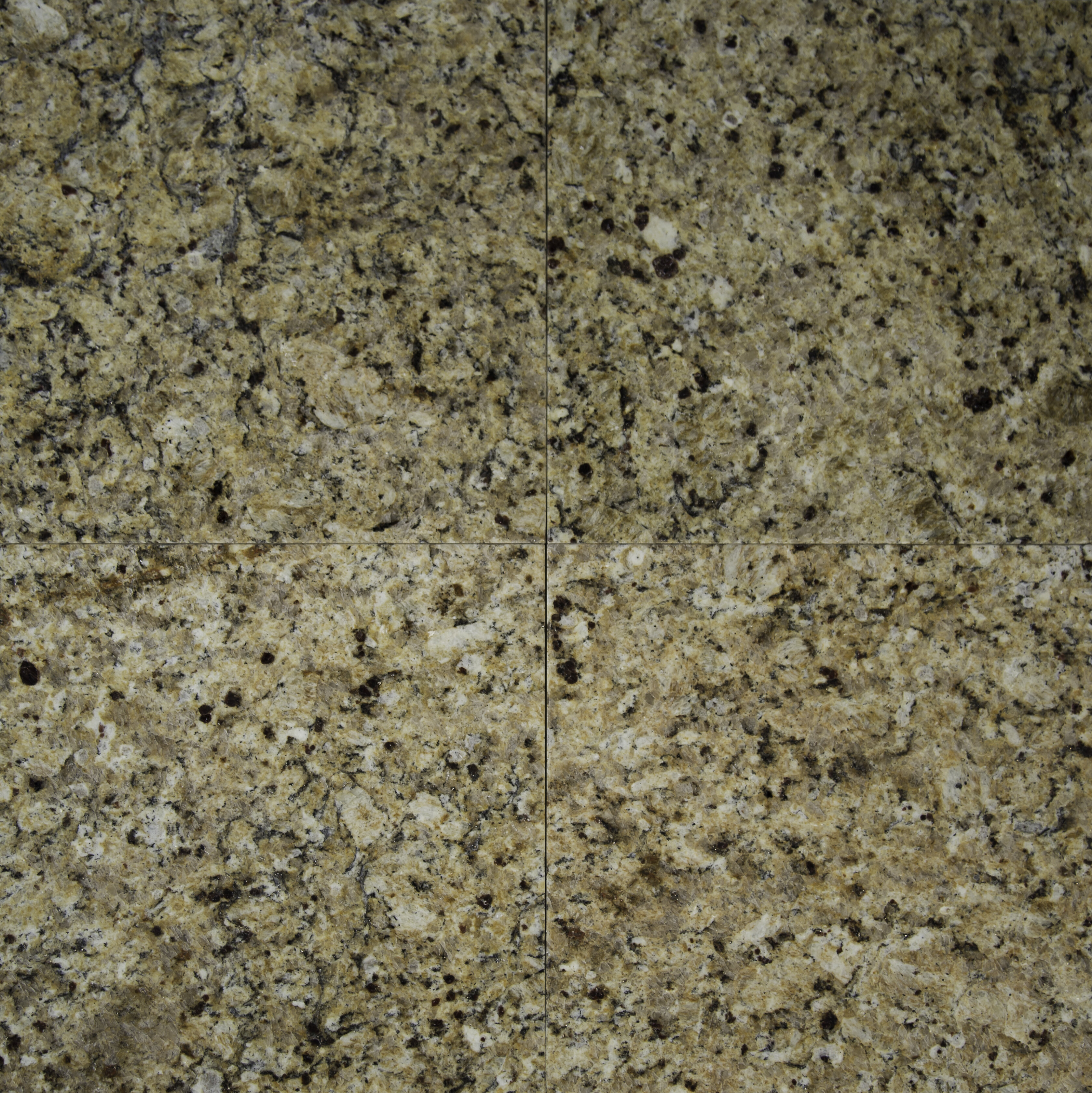Msi 12 X 12 Granite Field Tile In New Venetian Gold Reviews