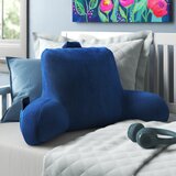 Velour Pillow Wayfair