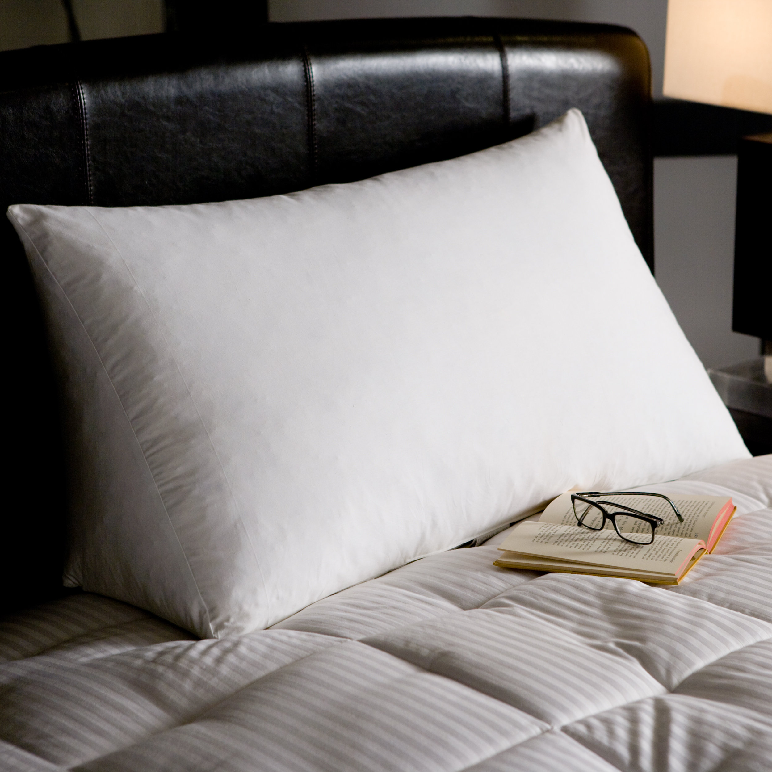 Alwyn Home Hubbell Reading Wedge Goose Down And Feather King