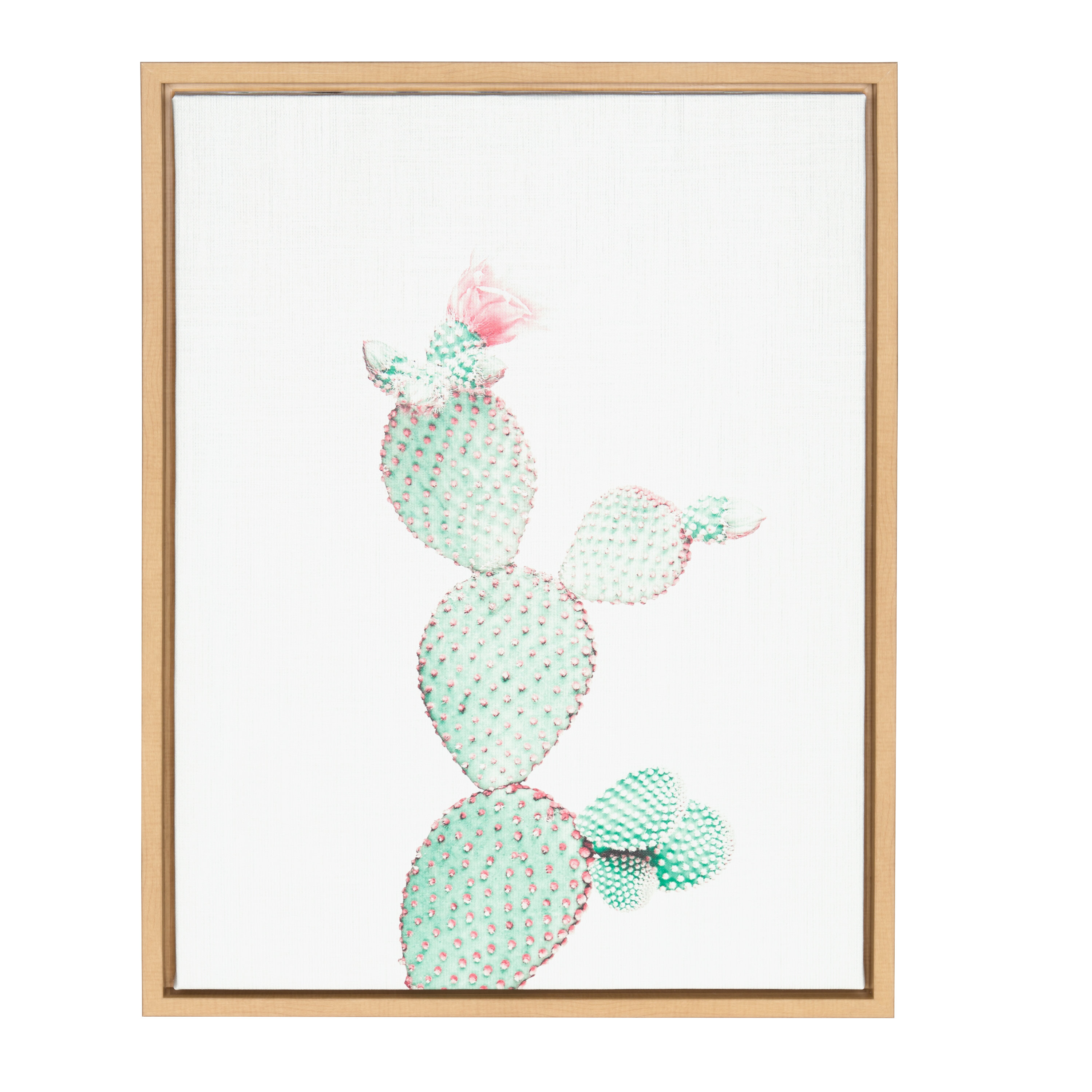 pastel green prickly pear cactus fine art image for wall gallery decor