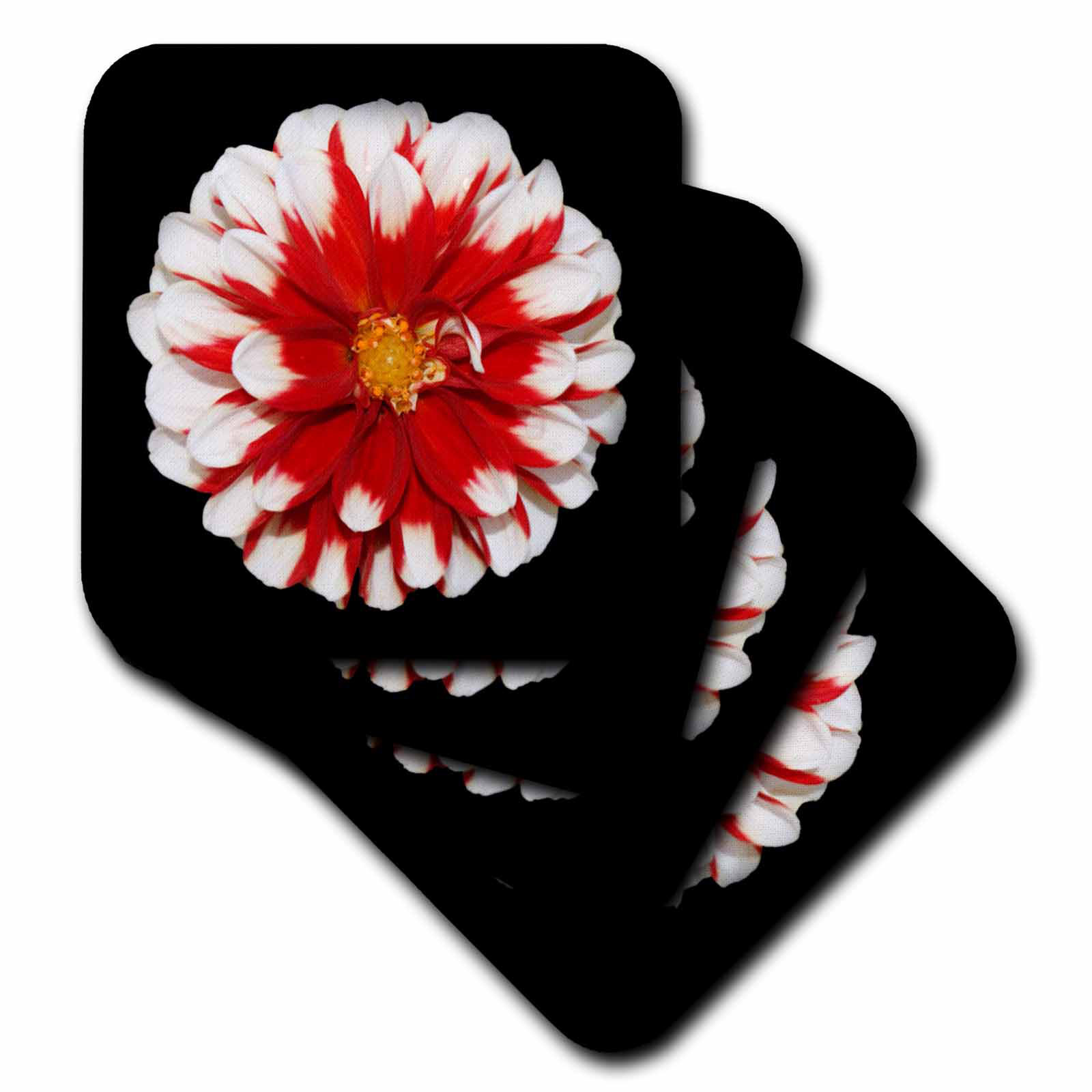 3drose Ceramic Tile Coasters Christmas Flower Set Of 4 Cst 6208 3 Wayfair