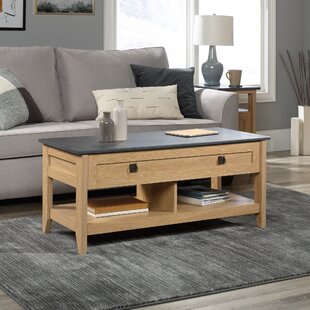 Mirabel Lift Top Coffee Table With Storage By Three Posts