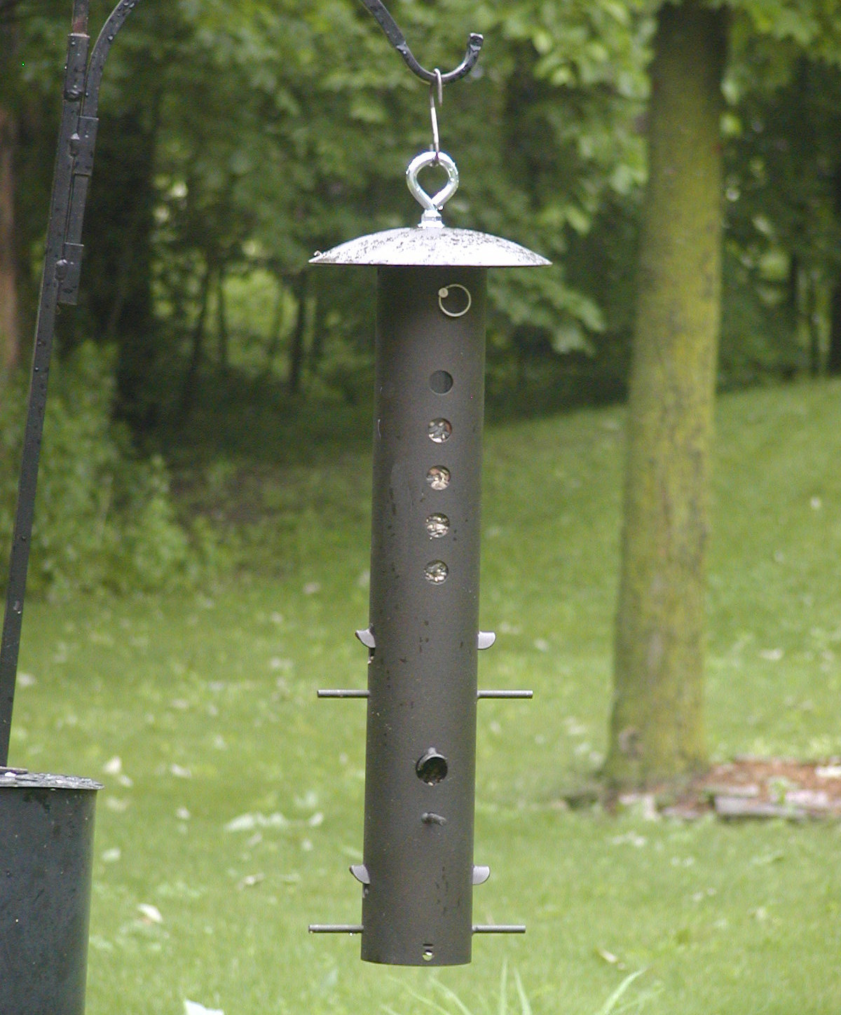 Birds Choice Bear Proof Tube Bird Feeder Reviews Wayfair