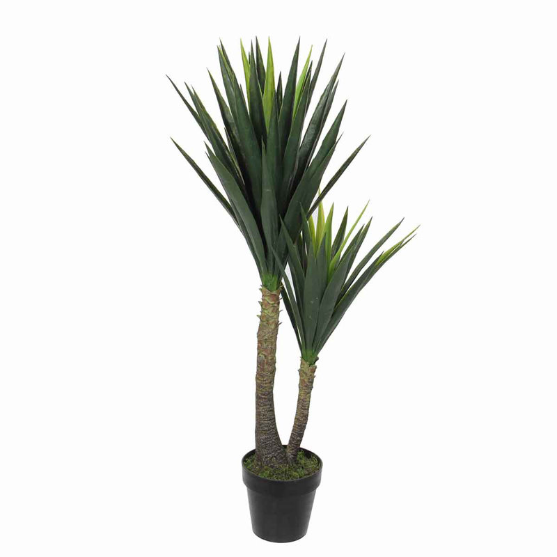 The Seasonal Aisle Yucca Plant in Pot Wayfair.co.uk