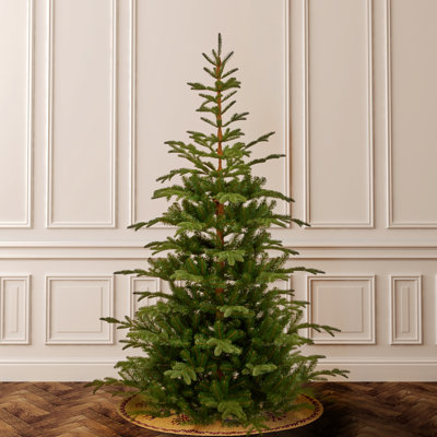7.5ft. Norwegian Spruce Tree Unlit