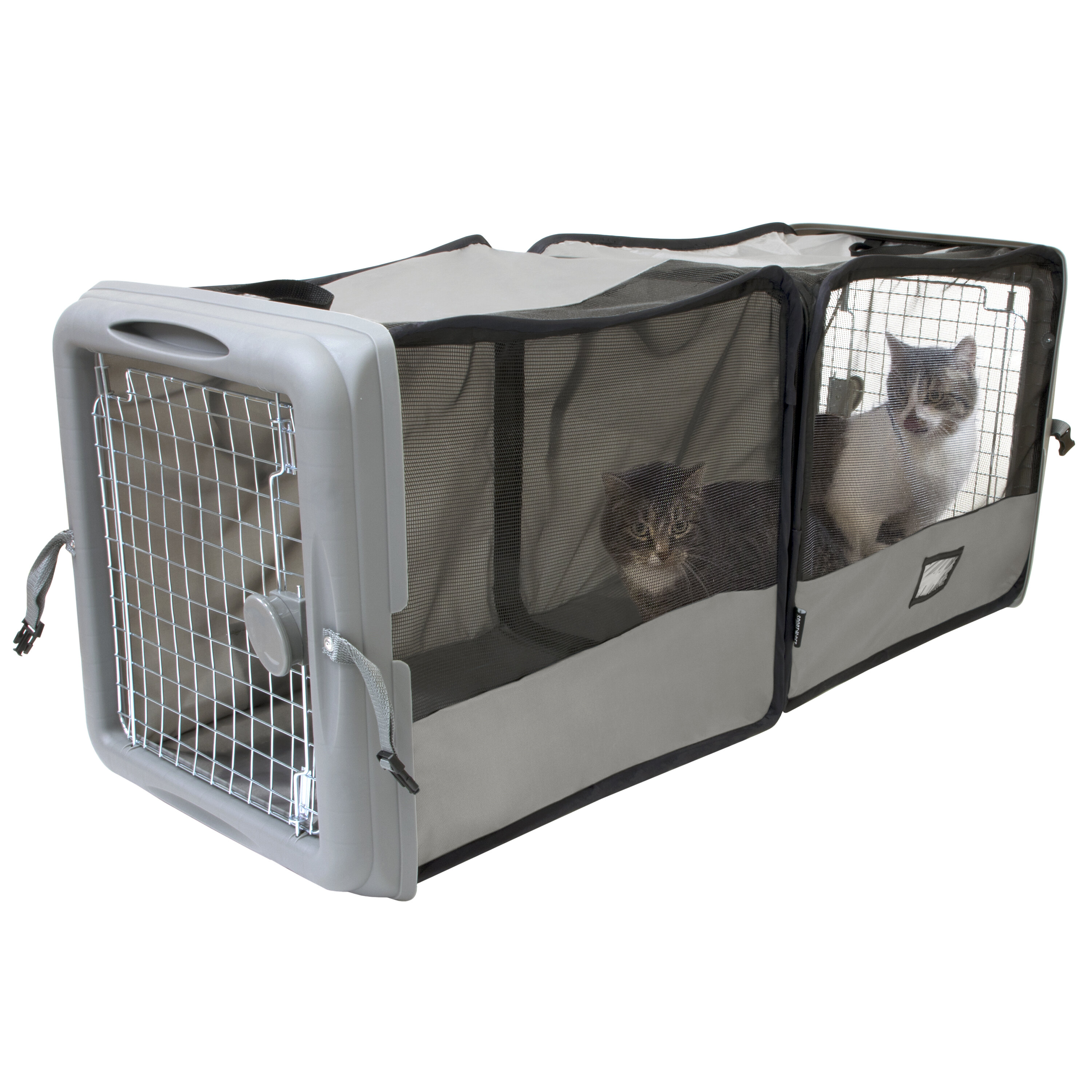 Tucker Murphy Pet™ Gainey Large Pet Carrier & Reviews | Wayfair