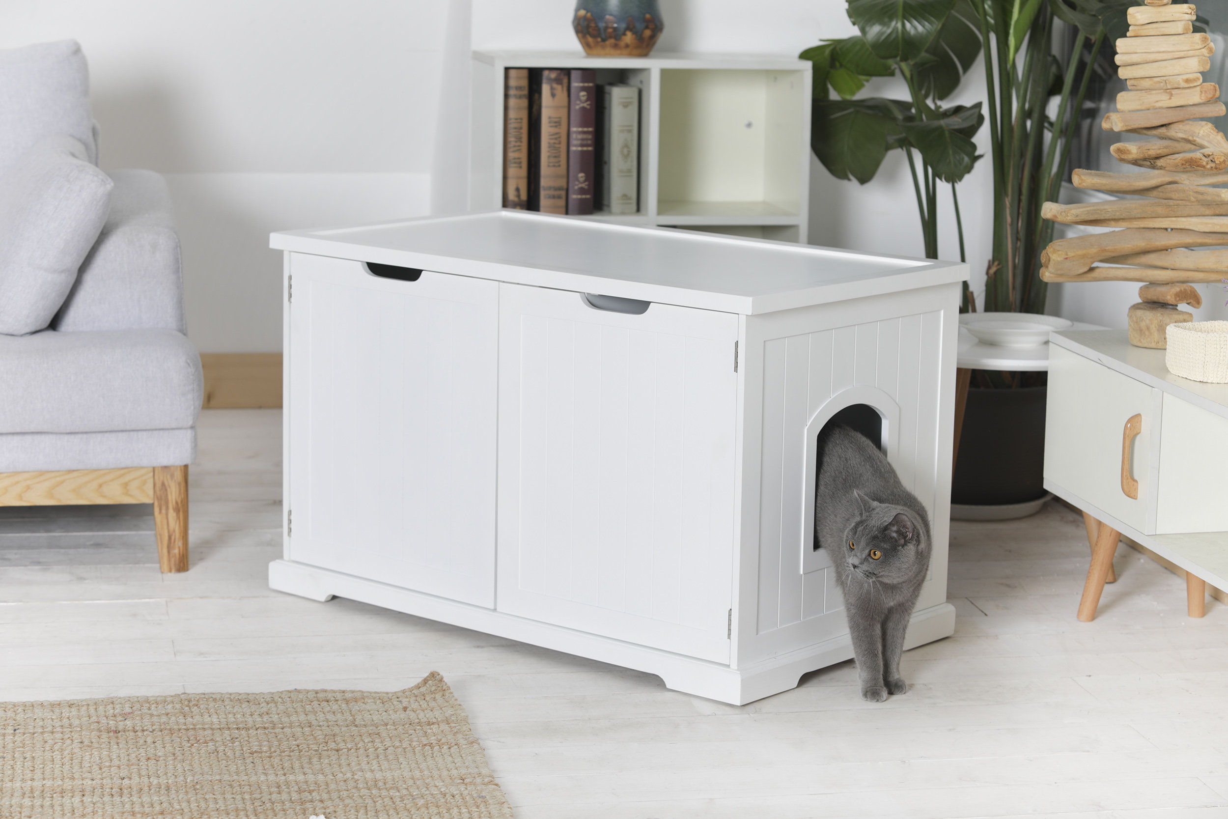 jumbo size litter box