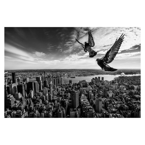Pigeons on the Empire State Building 2.55m x 3.84m Textured Matte Peel & Stick Wall Mural East Urban Home