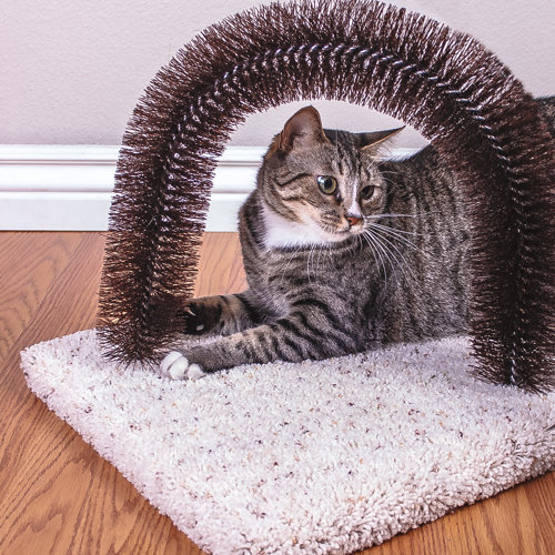 Ware Manufacturing Brush N Scratch Scratching Board Reviews