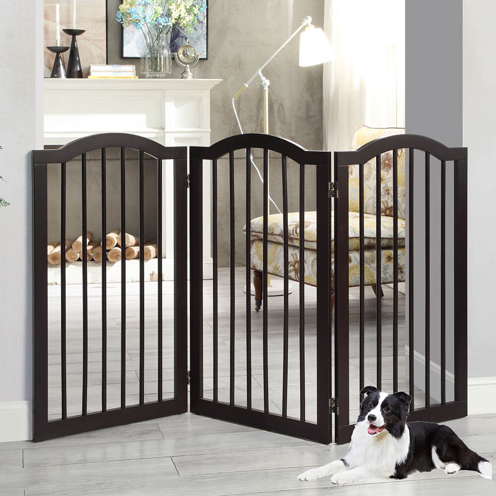 dog knocks down baby gate