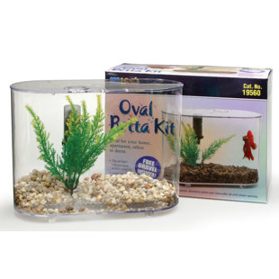 75 gallon aquarium wayfair
