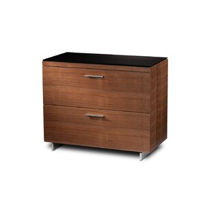 2-Drawer File