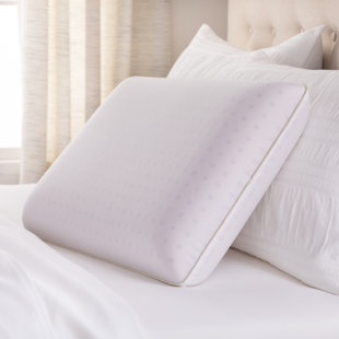 Coconut Scented Pillows Wayfair
