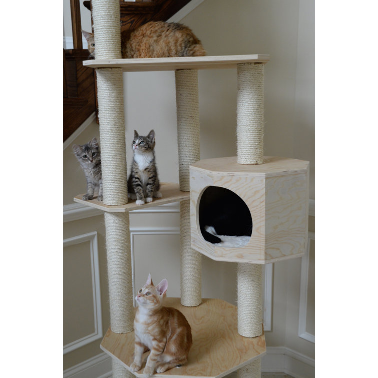 show me cat trees