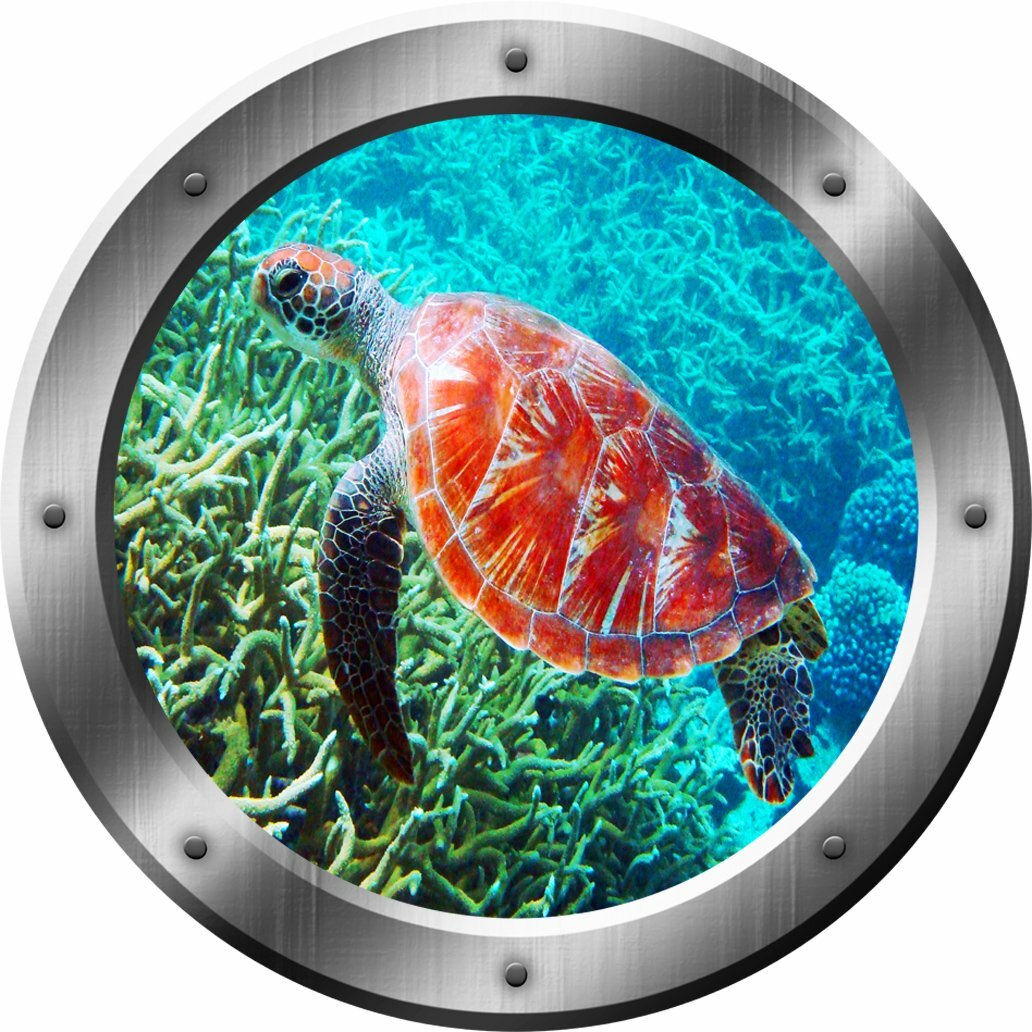 VWAQ Underwater Scene Sea Turtle Porthole Window Peel and Stick Removable Wall  Decal  Reviews - Wayfair Canada