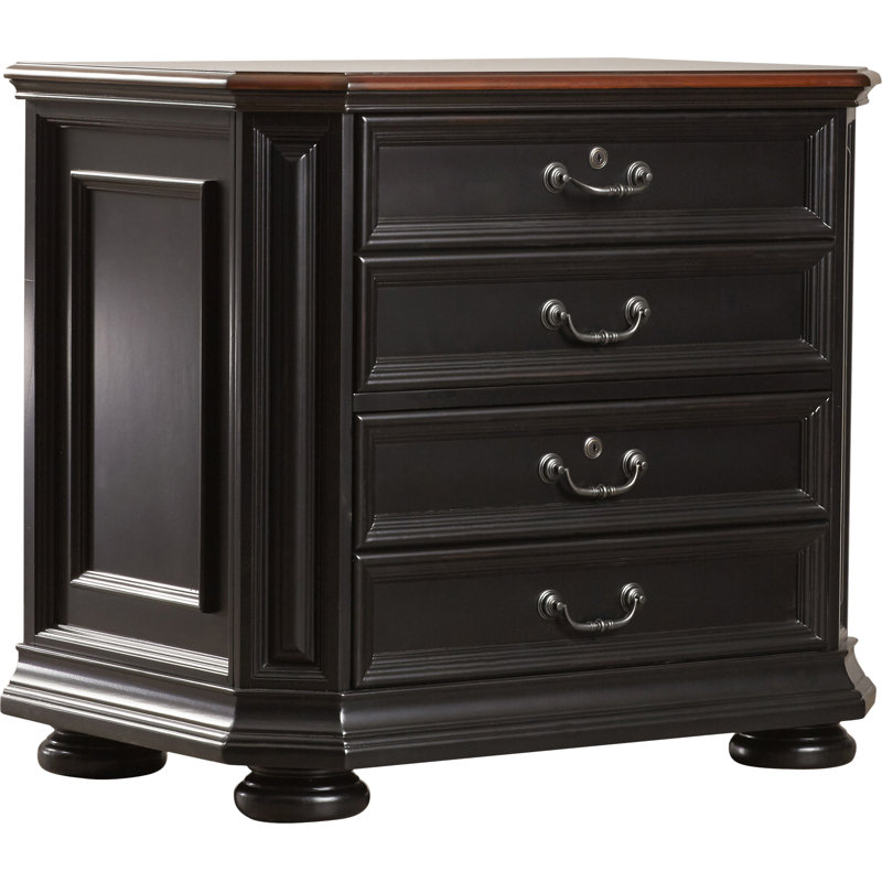 Darby Home Co Needham Gonzalez 2 Drawer Lateral Filing Cabinet