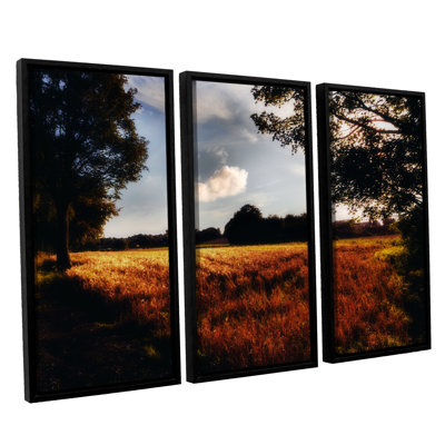 Farmville 3 Piece Framed Photographic Print on Canvas Set August Grove